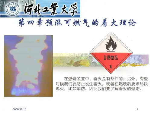 部分预混可燃气的着火-PPT课件