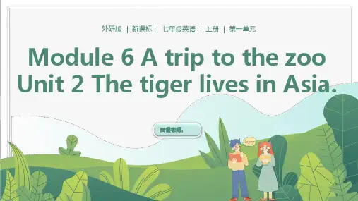 外研版七年级英语上册精品教学课件Module 6 Unit 2