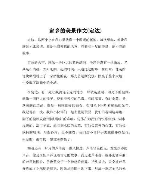 家乡的美景作文(定边)