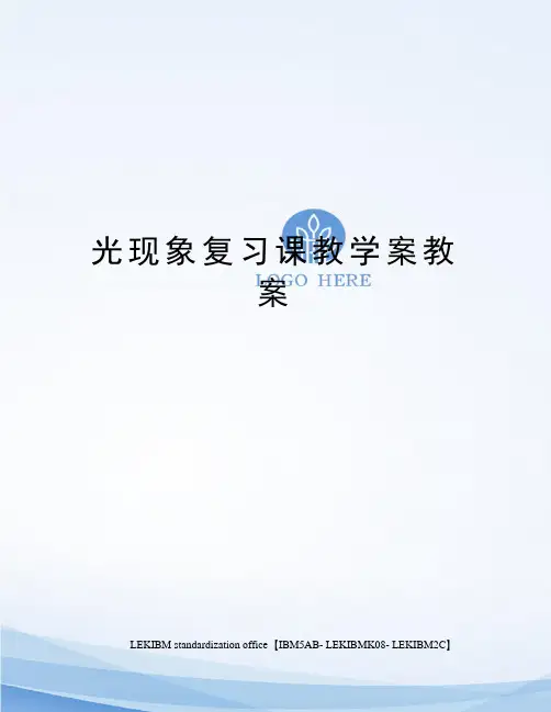 光现象复习课教学案教案