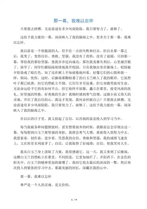 满分作文-----那一幕,我永远难以忘怀