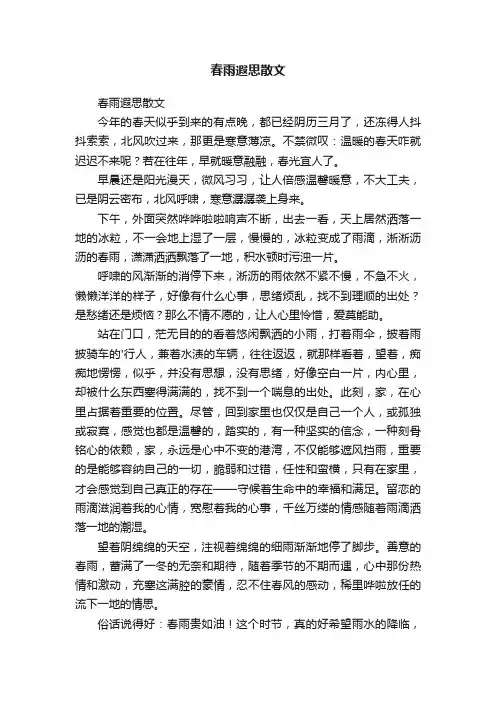 春雨遐思散文