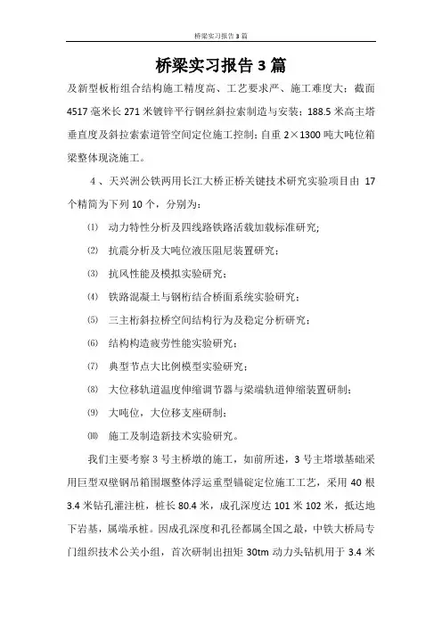 实习报告 桥梁实习报告3篇