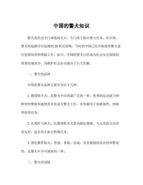 中国的警犬知识