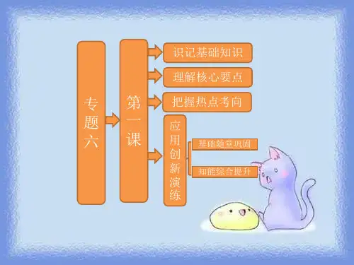 2023人民版选修4专题六第一课《中国科技之光》ppt