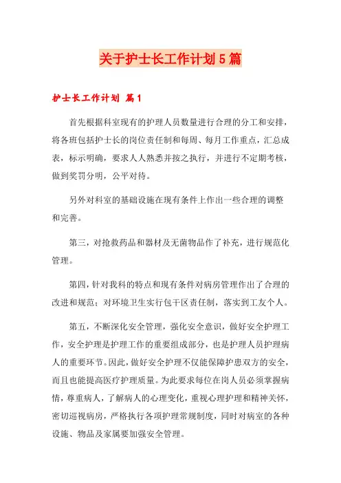 关于护士长工作计划5篇