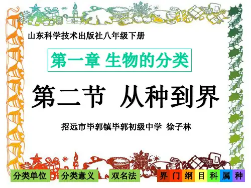 鲁科五四学制版八年级下册生物《第二节 从种到界》(一等奖课件)