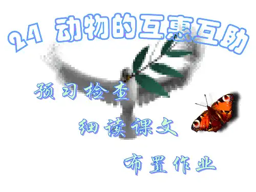 《动物的互惠互助》PPT课件