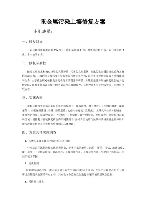 重金属污染土壤修复方案
