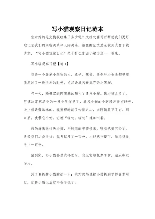 写小猫观察日记范本