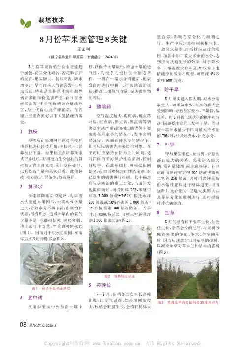 8 月份苹果园管理8 关键