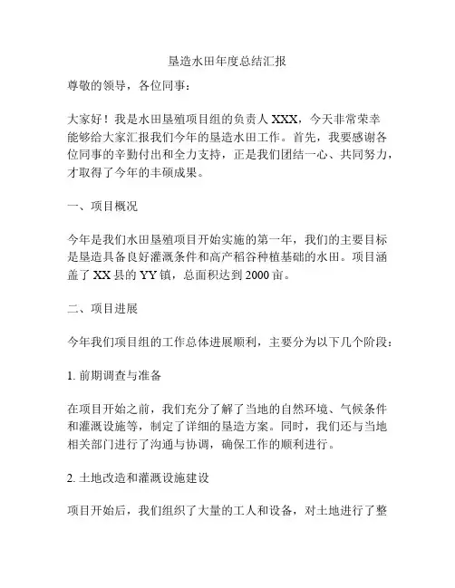 垦造水田年度总结汇报