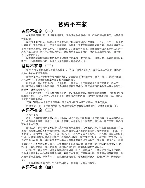 爸妈不在家作文共九篇