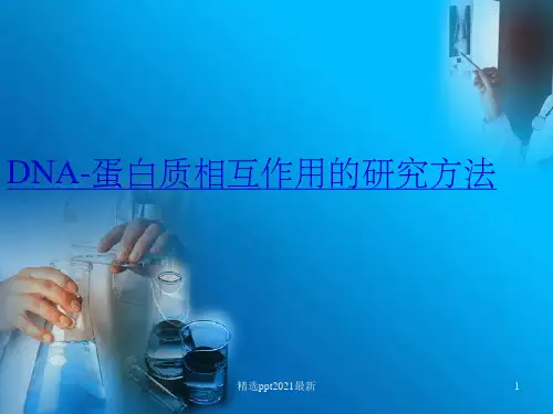 DNA蛋白质的相互作用