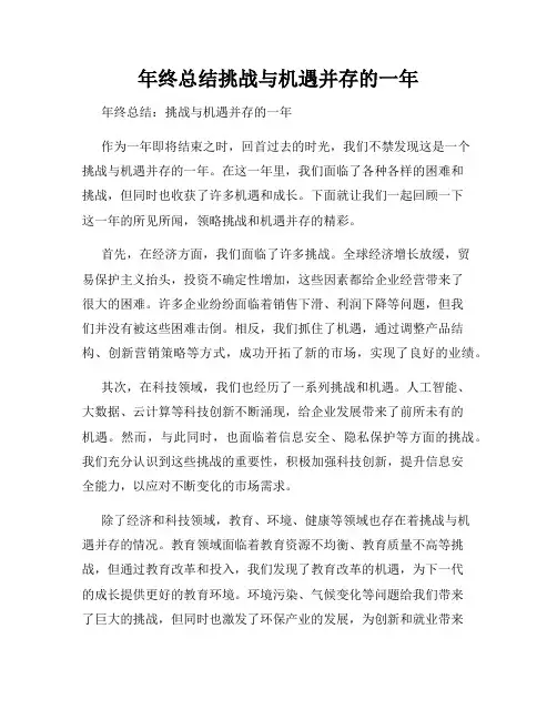 年终总结挑战与机遇并存的一年