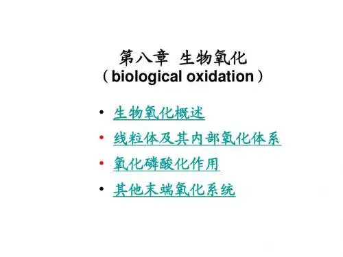 第八章 生物氧化和能量转换