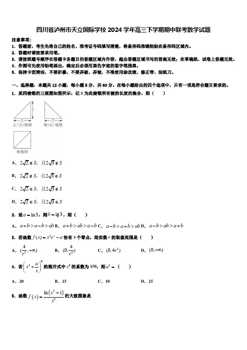 四川省泸州市天立国际学校2024学年高三下学期期中联考数学试题