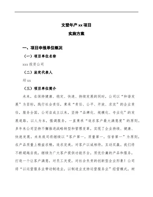 文登项目实施方案(项目申请说明模板)