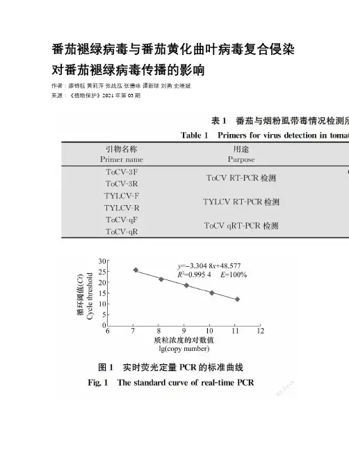 番茄褪绿病毒与番茄黄化曲叶病毒复合侵染对番茄褪绿病毒传播的影响