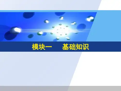 16G101平法识图基础知识ppt课件