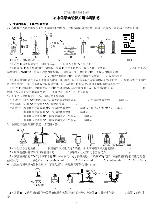 (完整版)初中化学实验探究题专题训练(整理)