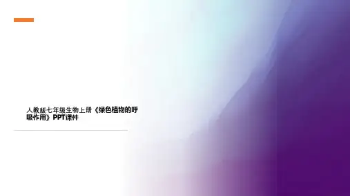 人教版七年级生物上册《绿色植物的呼吸作用》PPT课件
