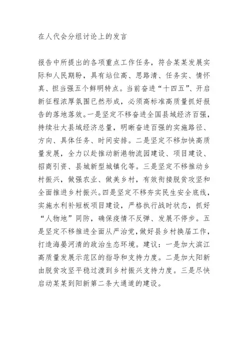 在人代会分组讨论上的发言2
