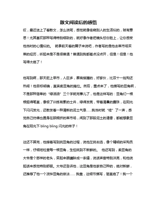 作文《散文阅读后的感悟》