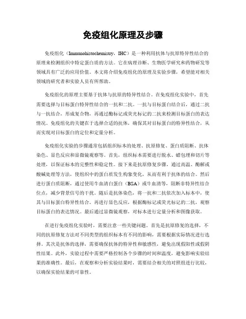 免疫组化原理及步骤