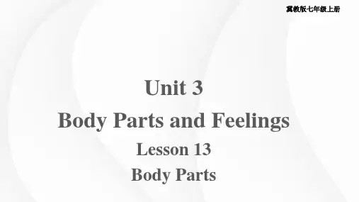 2023-2024学年英语冀教版七年级上册 Unit 3 Lesson 13 课件(七上)