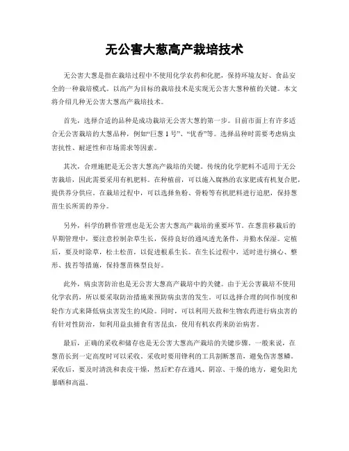 无公害大葱高产栽培技术