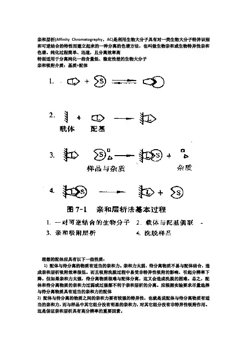 proteinG综述