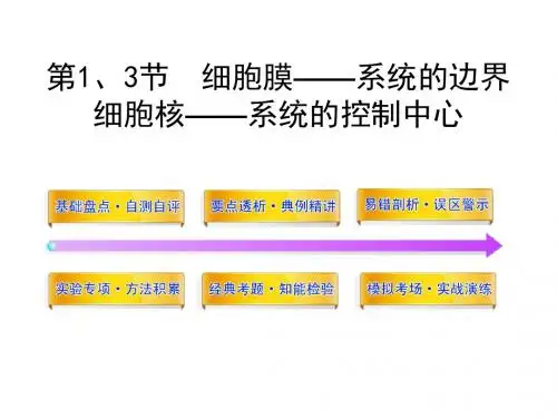 高三生物一轮复习同步课件人教版：1.3第1、3节  细胞膜——系统的边界细胞核——系统的控制中心