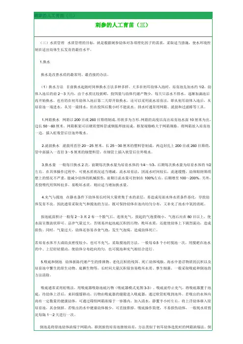 刺参的人工育苗3