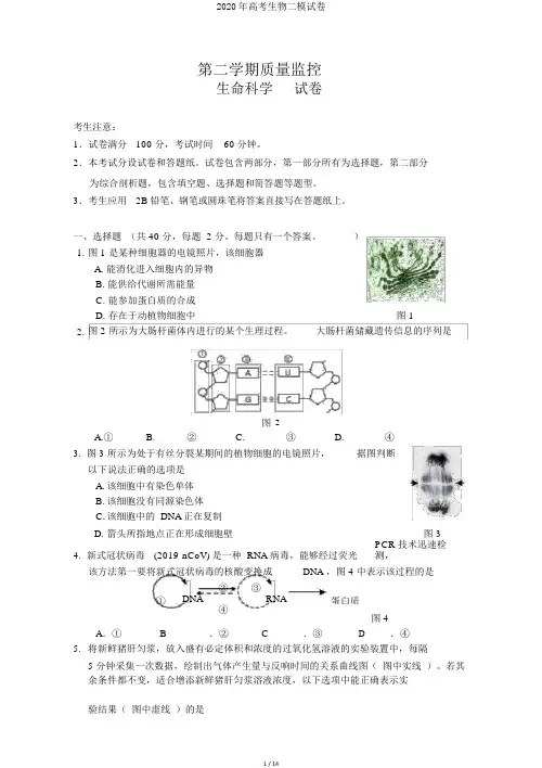 2020年高考生物二模试卷