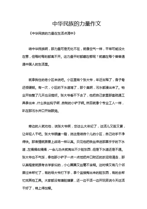中华民族的力量作文