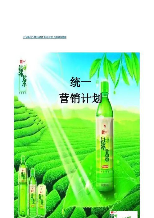 统一集团营销计划