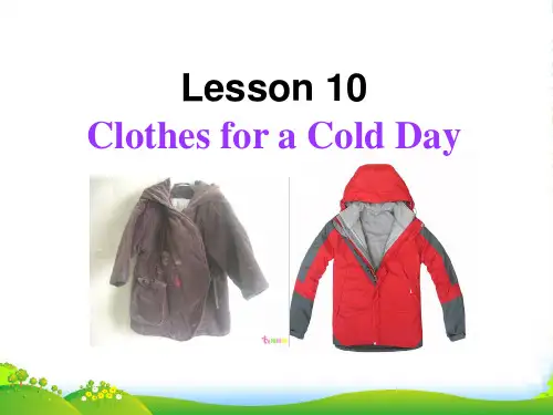 冀教七年级英语上册 Unit 2 Lesson 10 Clothes for a cold day