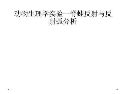 动物生理学实验一脊蛙反射与反射弧分析