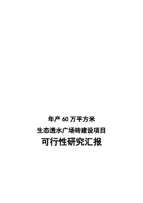 产万平方米生态透水广场砖建设项目可行性研究报告