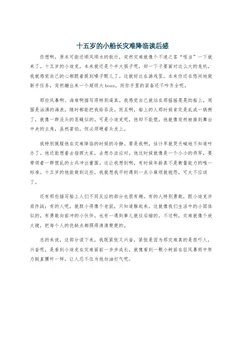 十五岁的小船长灾难降临读后感