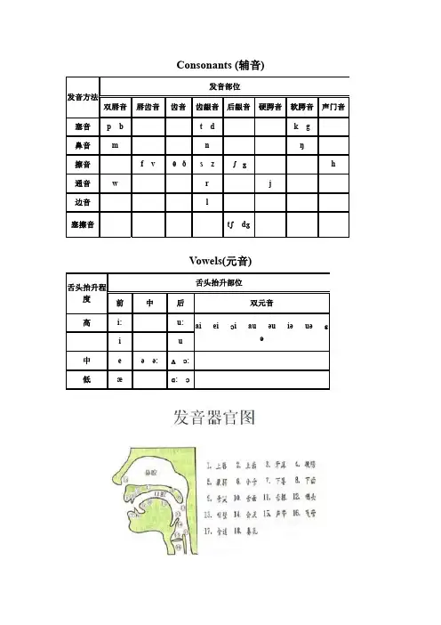 英语 国际音标发音舌位图