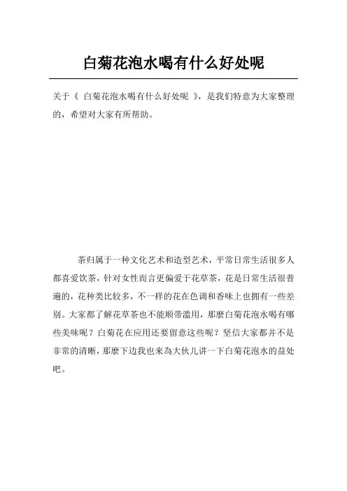 白菊花泡水喝有什么好处呢