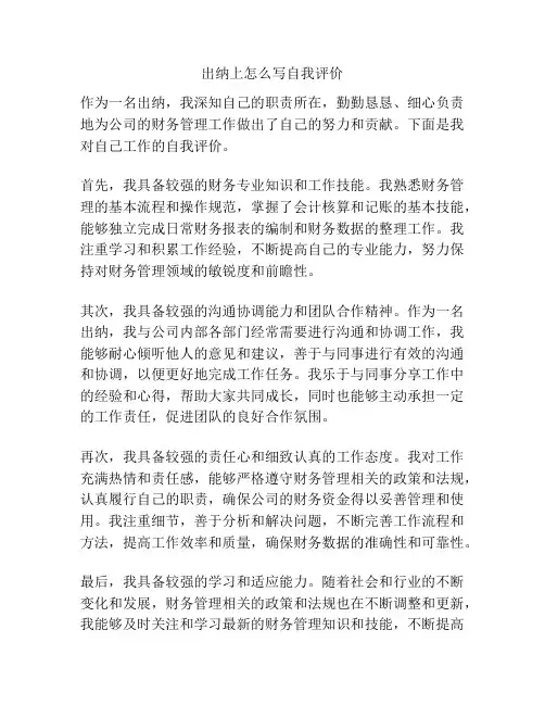 出纳上怎么写自我评价