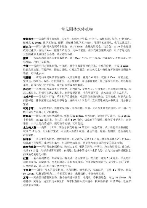 常见园林水体植物