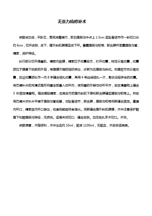 无张力疝修补术