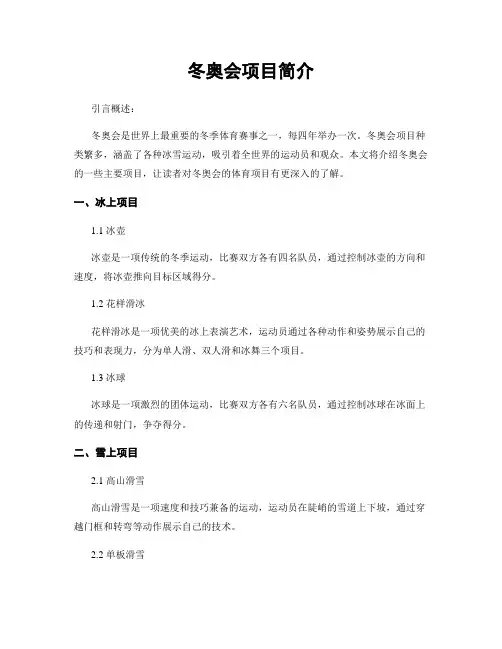 冬奥会项目简介
