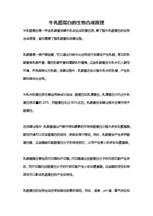 牛乳酪蛋白的生物合成原理