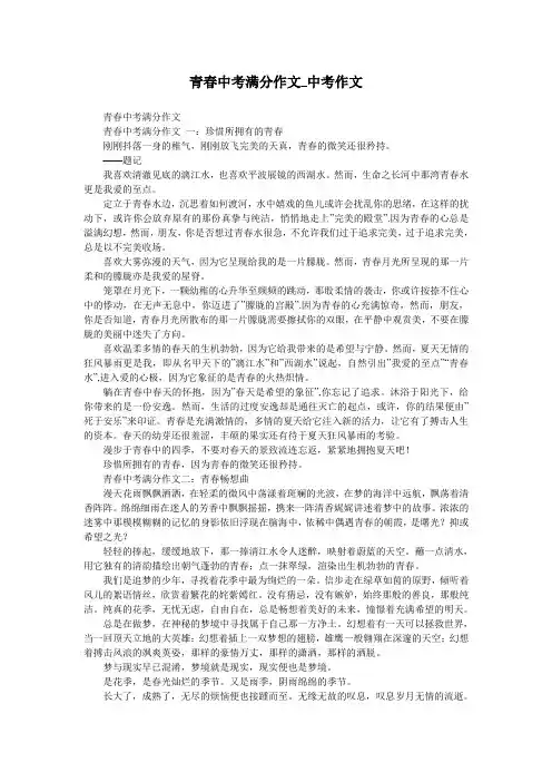 青春中考满分作文_中考作文