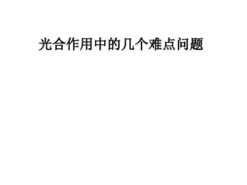 光合作用的几个难点问题.